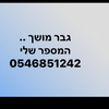 הגבר המושך