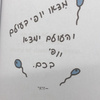 חיים381